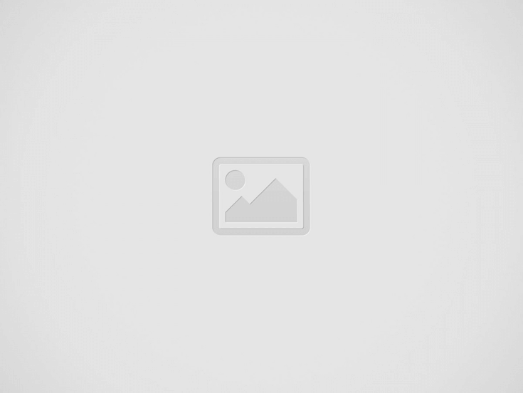 What are Shares? – Information, Actions Work, Buying Stocks, and More