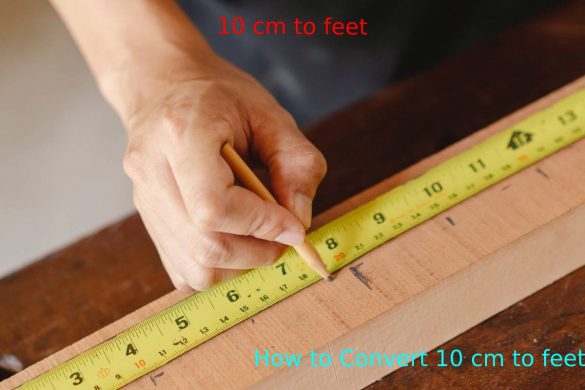 How to convert 10 cm to feet