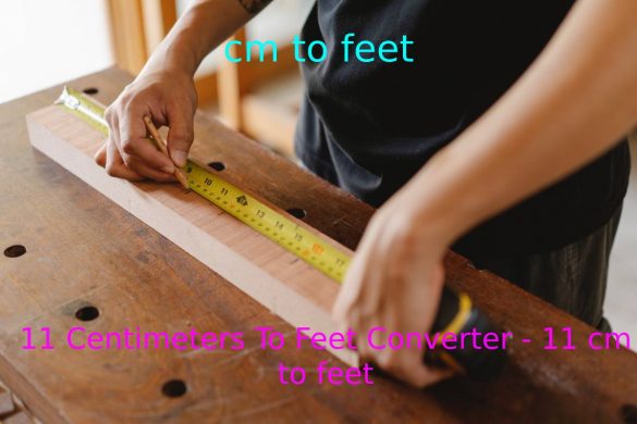11 Centimeters To Feet Converter - 11 cm to feet