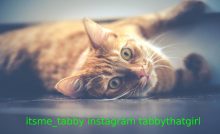 itsme_tabby instagram tabbythatgirl