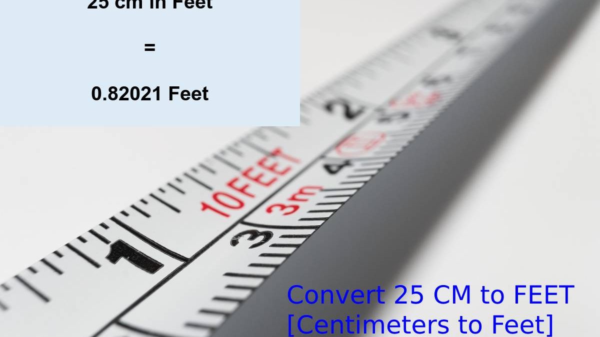 Convert 25 CM to FEET [Centimeters to Feet]