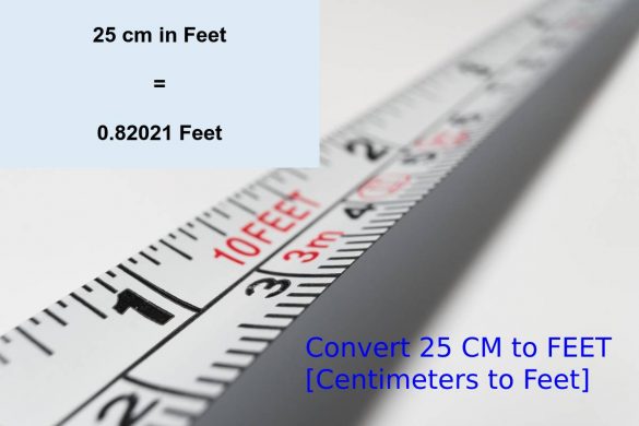 Convert 25 CM to FEET [Centimeters to Feet]