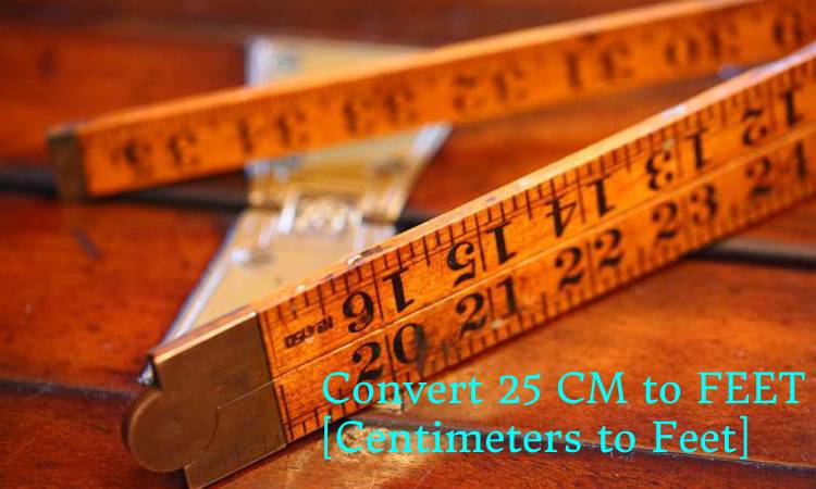 Convert 25 cm to feet